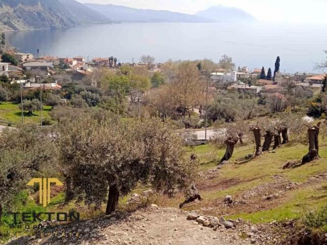 (For Sale) Land Plot || Evoia/Aidipsos - 3.100 Sq.m, 100.000€ 