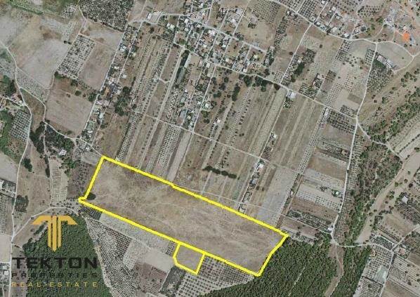 (For Sale) Land Large Land  || East Attica/Anavyssos - 107.000 Sq.m, 3.300.000€ 