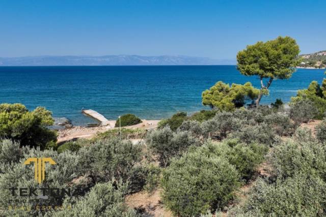 (Προς Πώληση) Αξιοποιήσιμη Γη Έκταση || Ν. Αργολίδας/Κρανίδι - 4.000 τ.μ, 1.700.000€ 